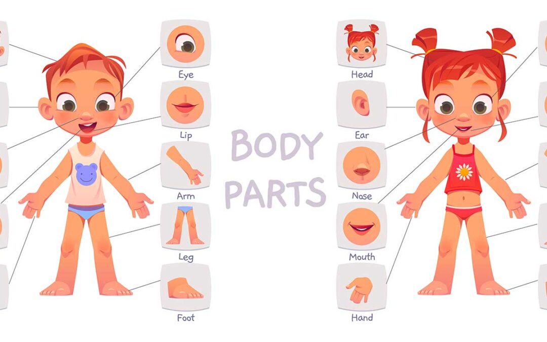 Self-awareness curriculum for Preschoolers