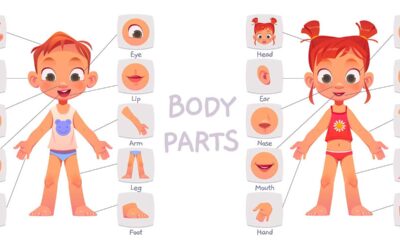 Self-awareness curriculum for Preschoolers